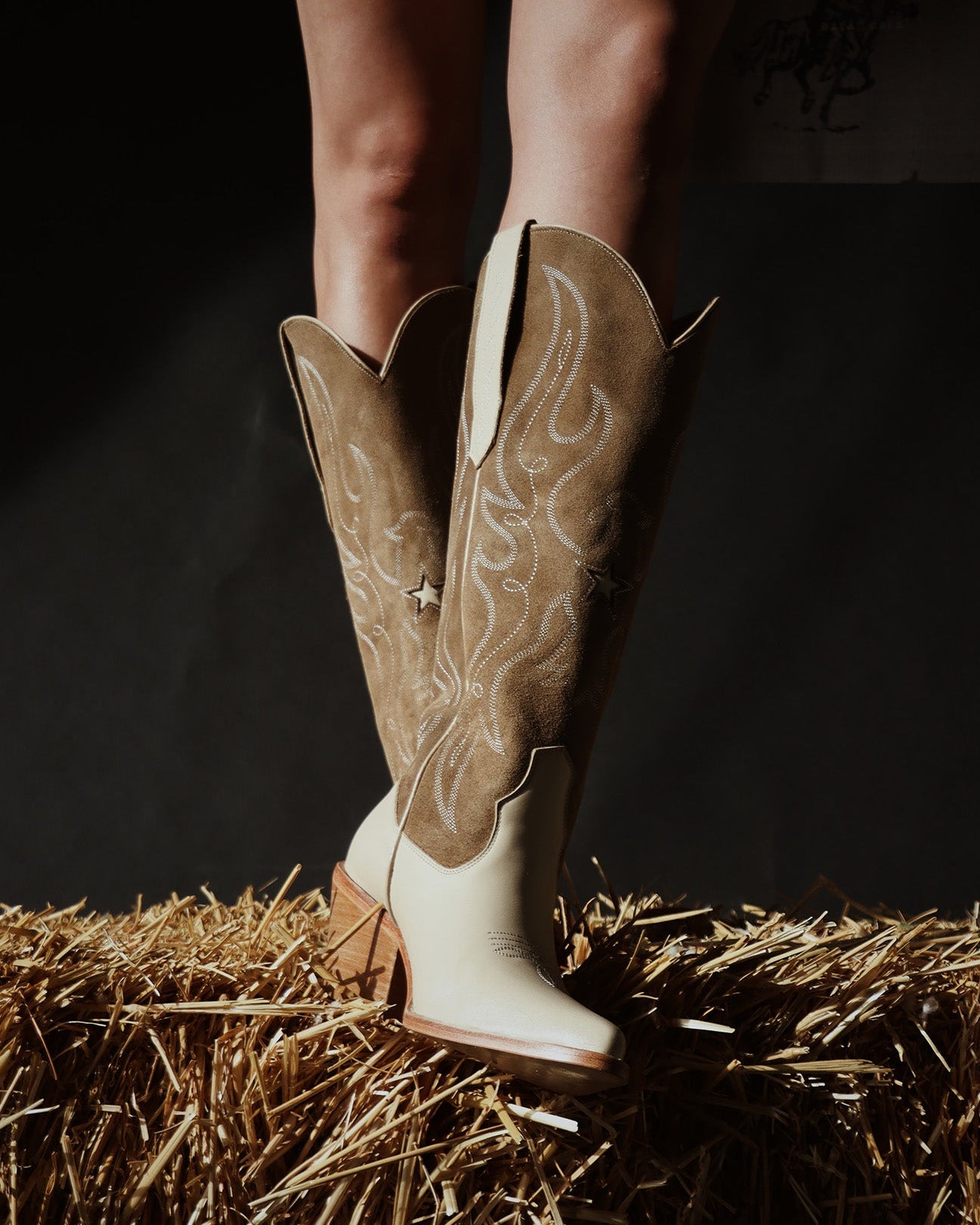 Botas de piel Moda en calzado Botas de piel para mujeres Hecho a mano Artesanal Calidad premium 100% piel genuina Diseño exclusivo León, Guanajuato Calzado mexicano Elegante y sofisticado